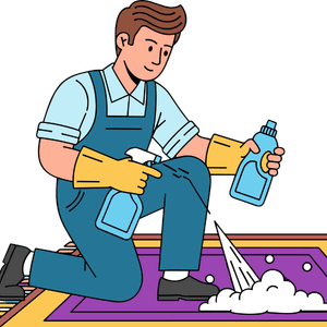 Carpet and Upholstery Cleaning